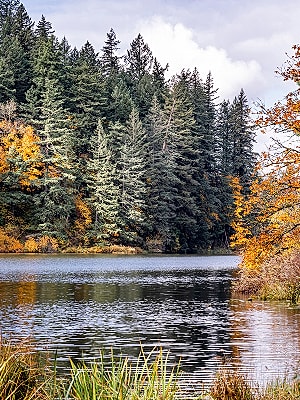 Serene lake surrounded by autumn foliage.